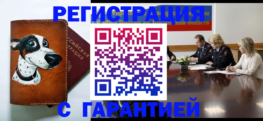 временная регистрация для всех в Грозном